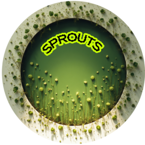 Sprouts